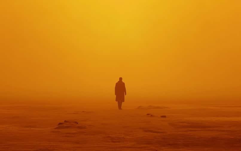 Blade Runner -Defintion of Cinematic